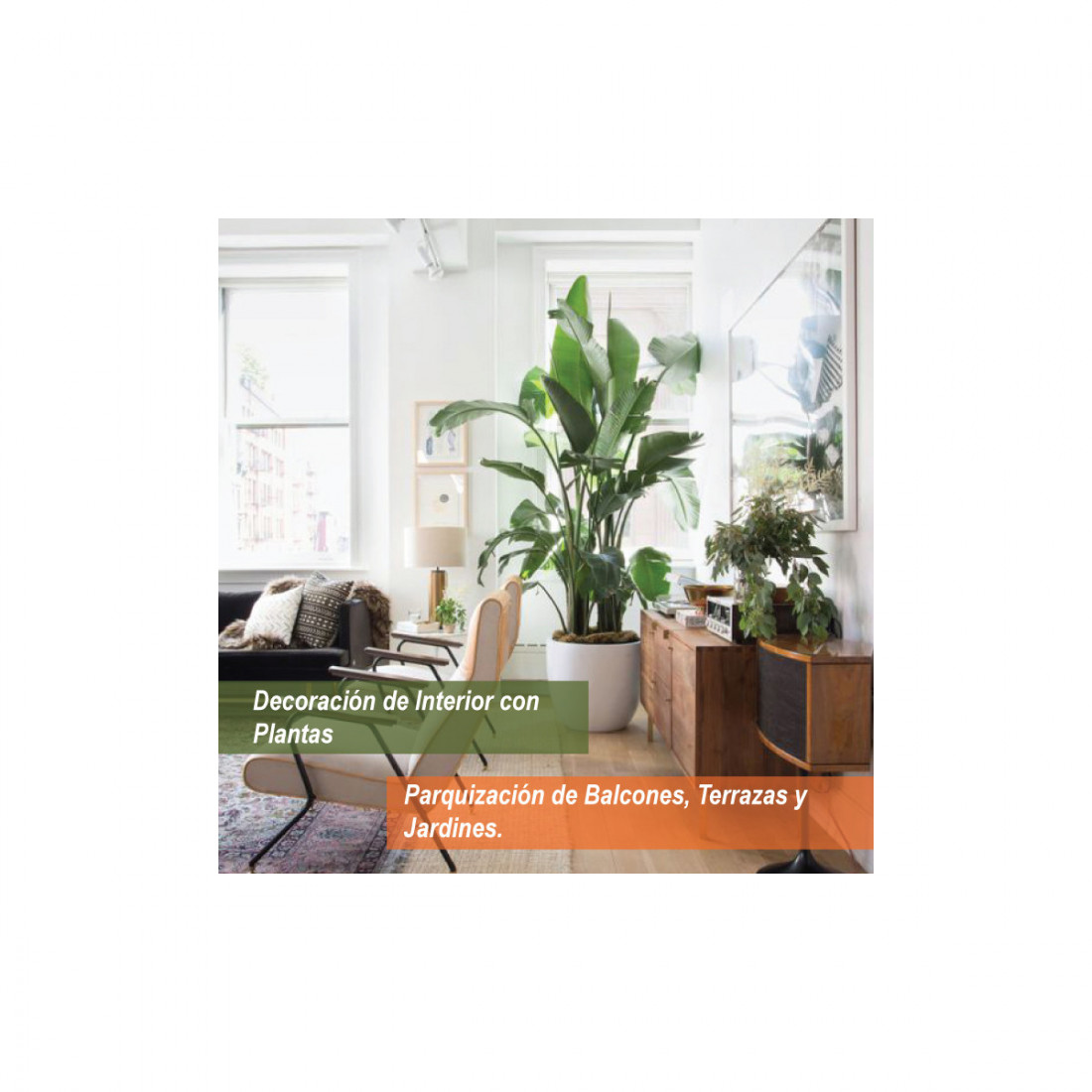 Verde y Orgánico Vivero